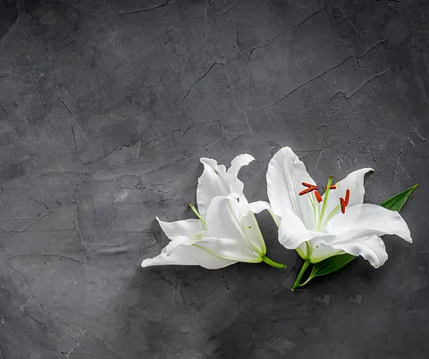 Kiste med kors og blomster